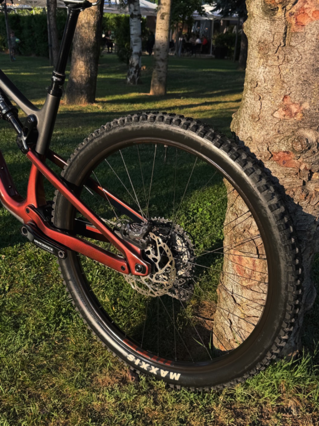 Bike view 10