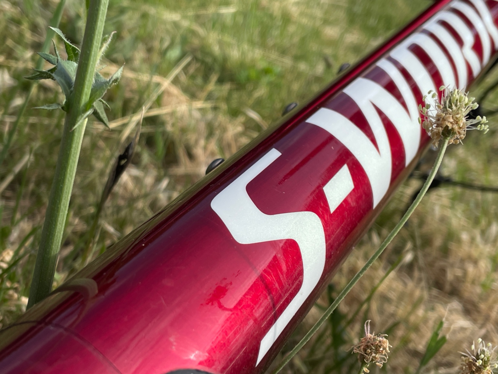 Specialized Epic S-Works view 12