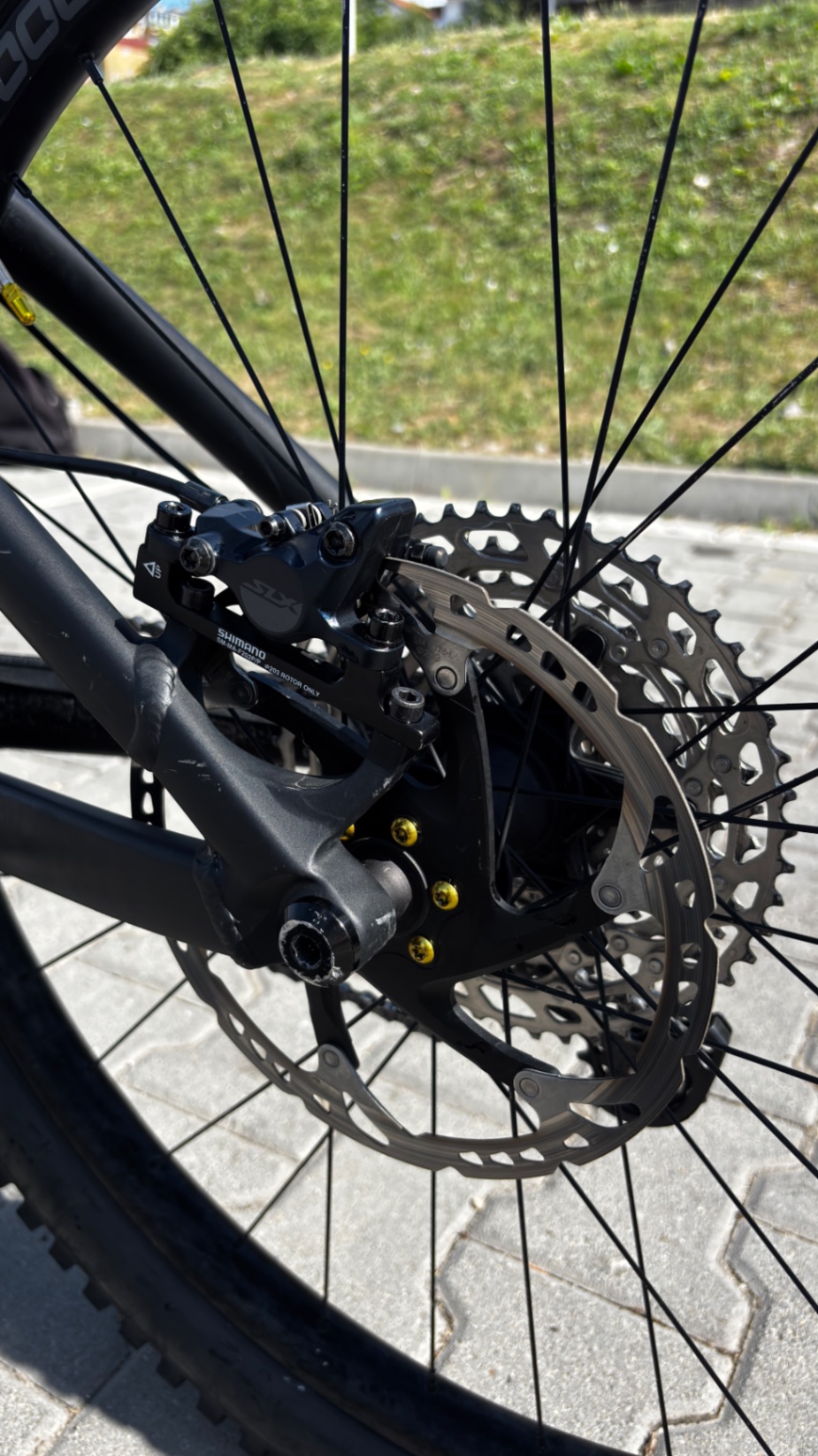 Bike view 9