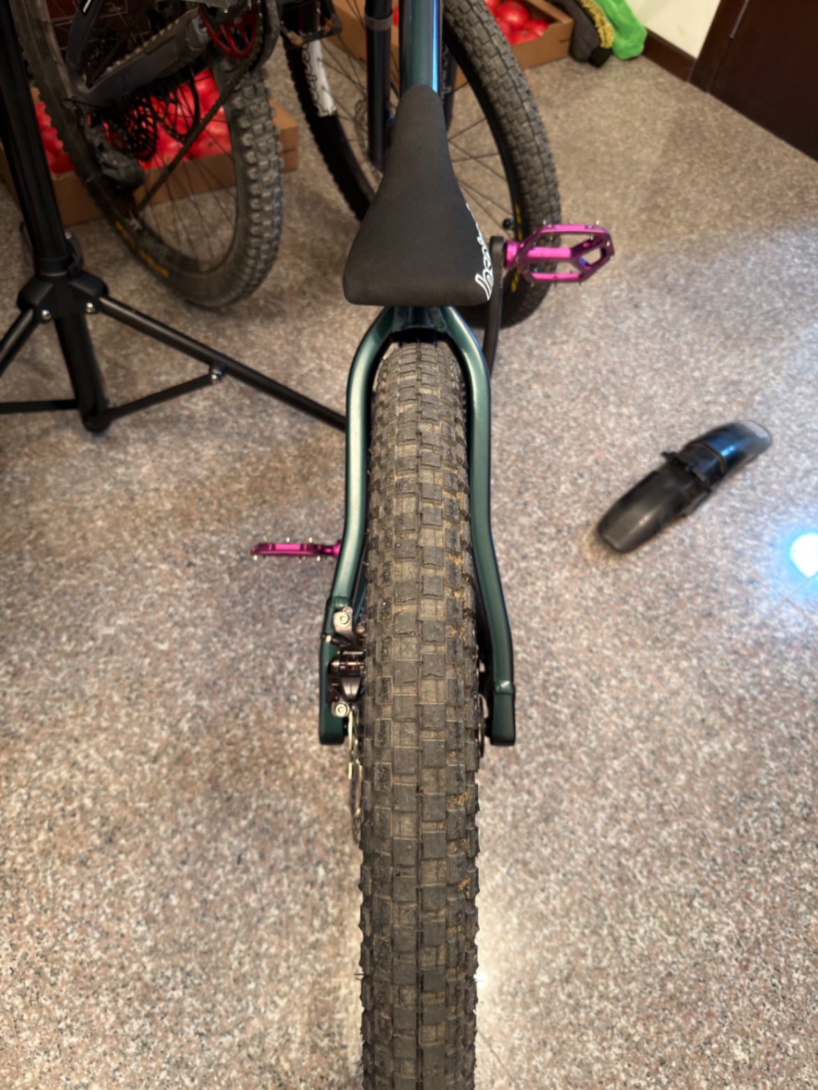 Bike view 11