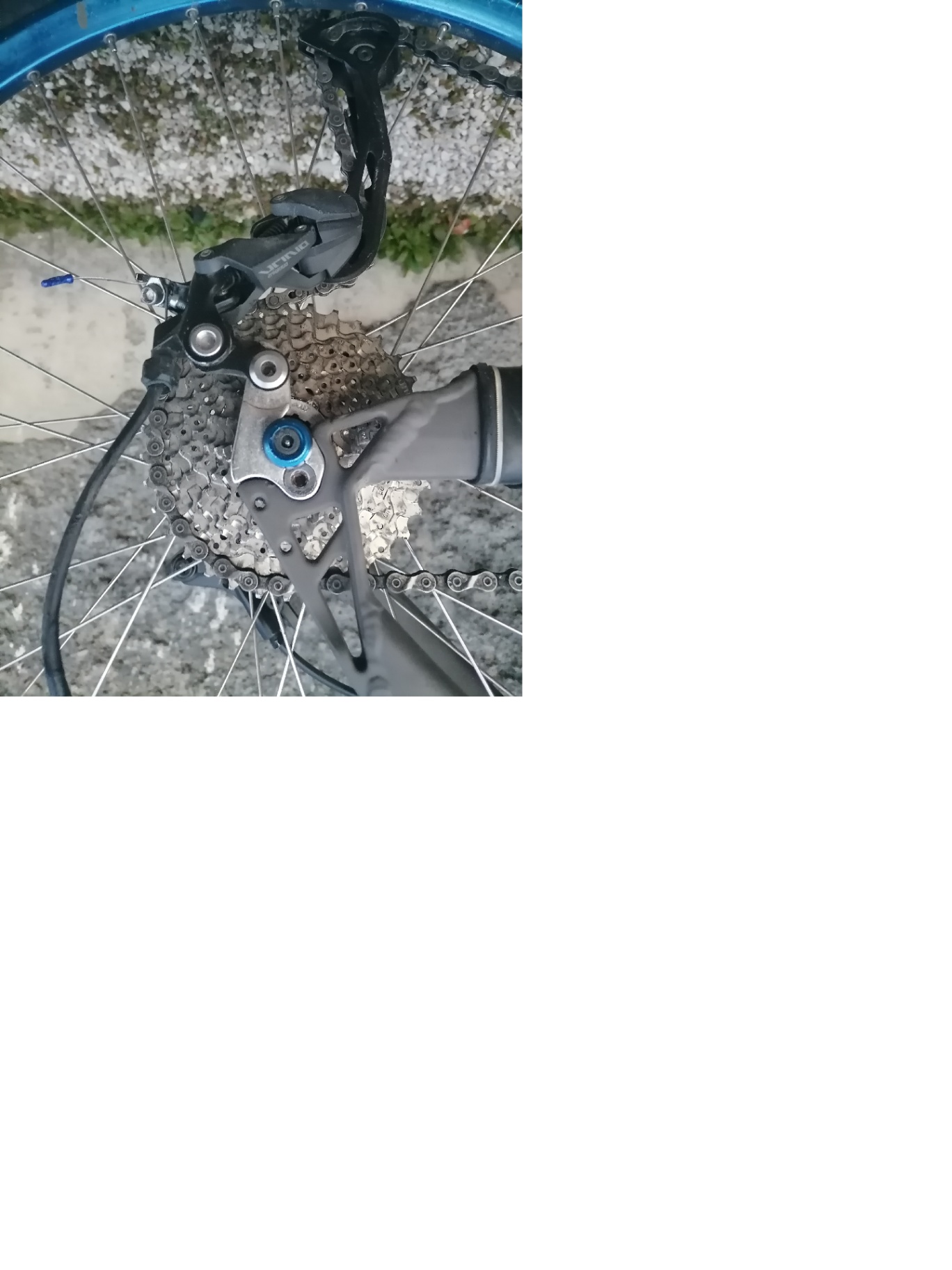 Bike view 8