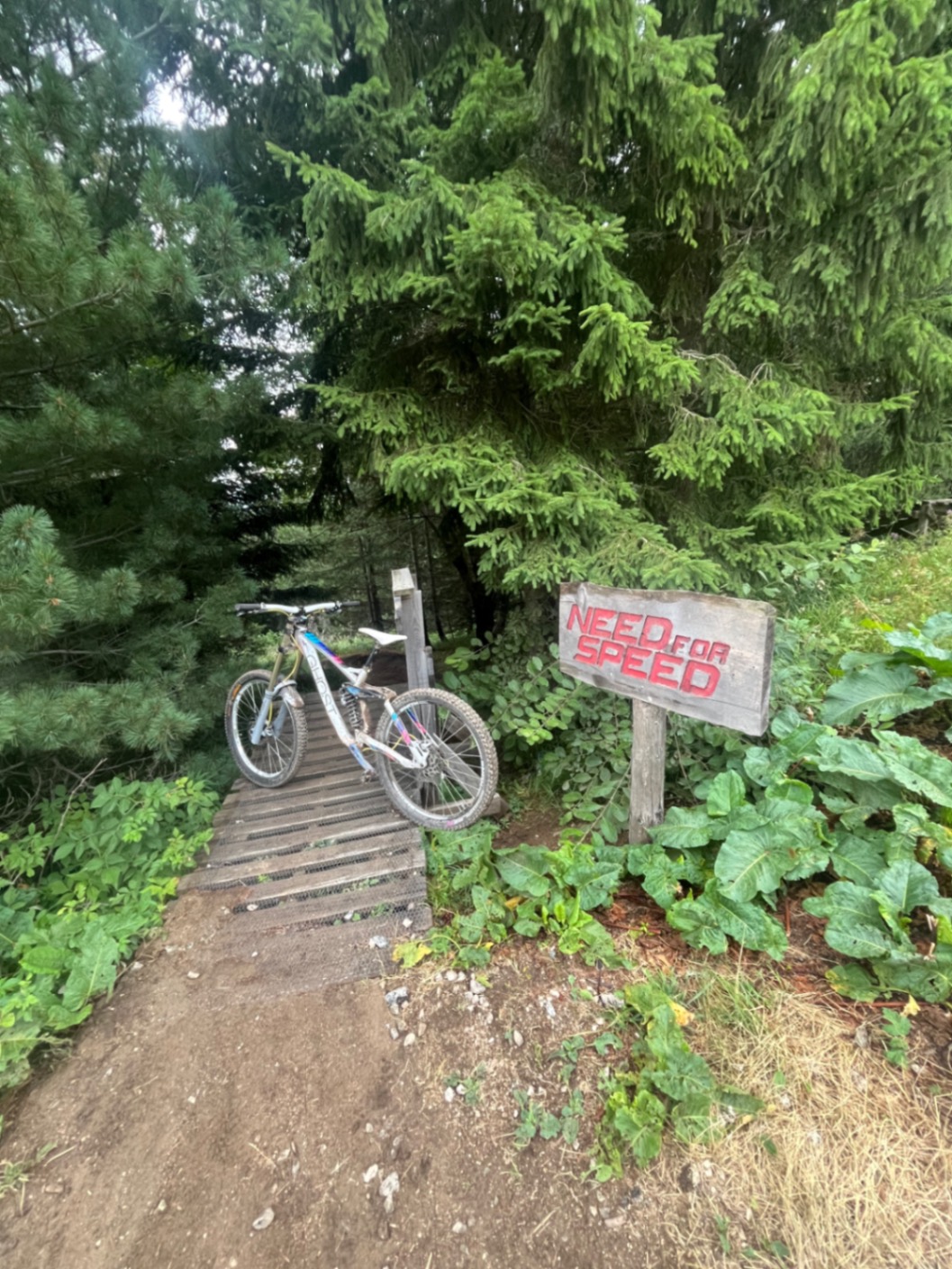 Bike view 6