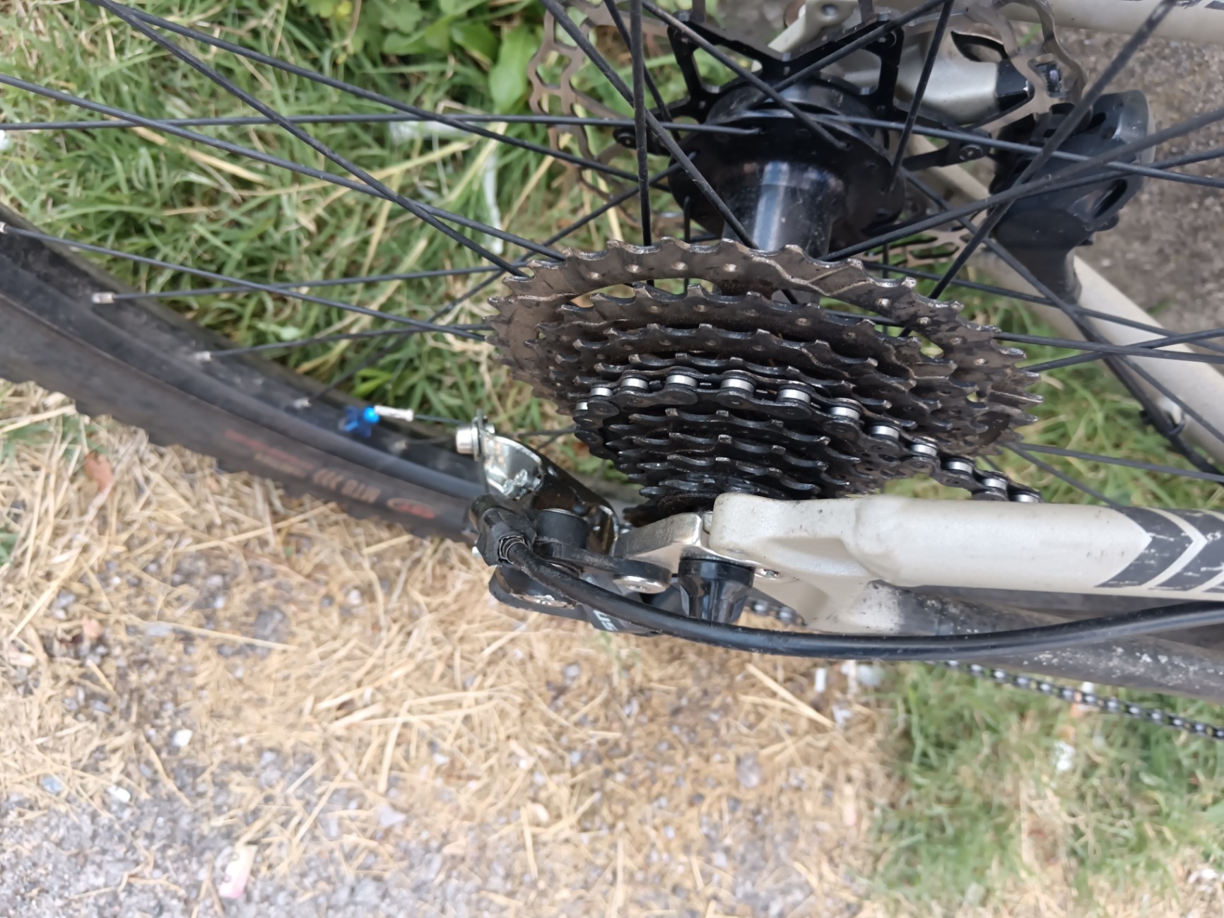 Bike view 4