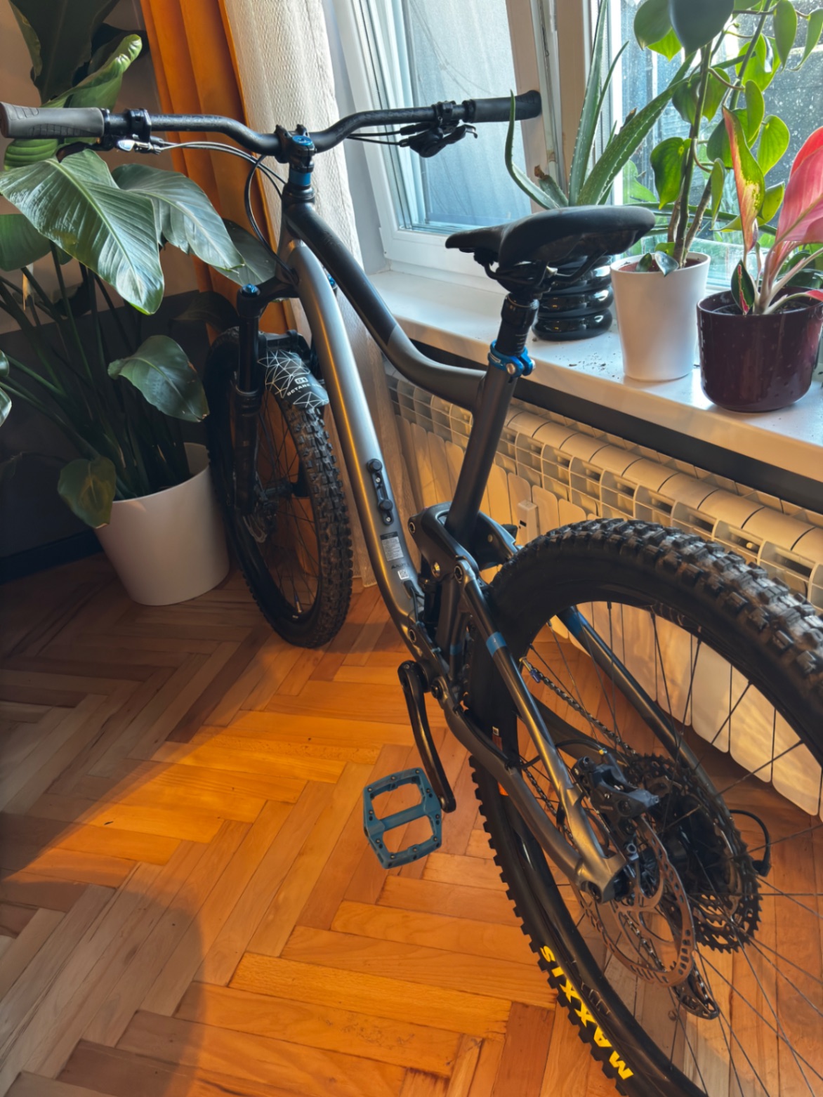 Bike view 2