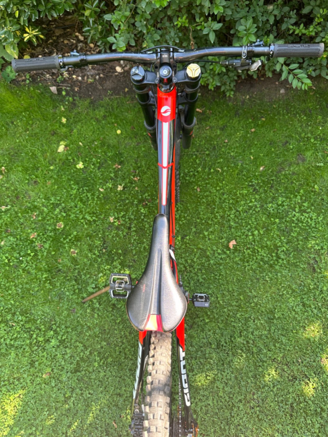 Bike view 10