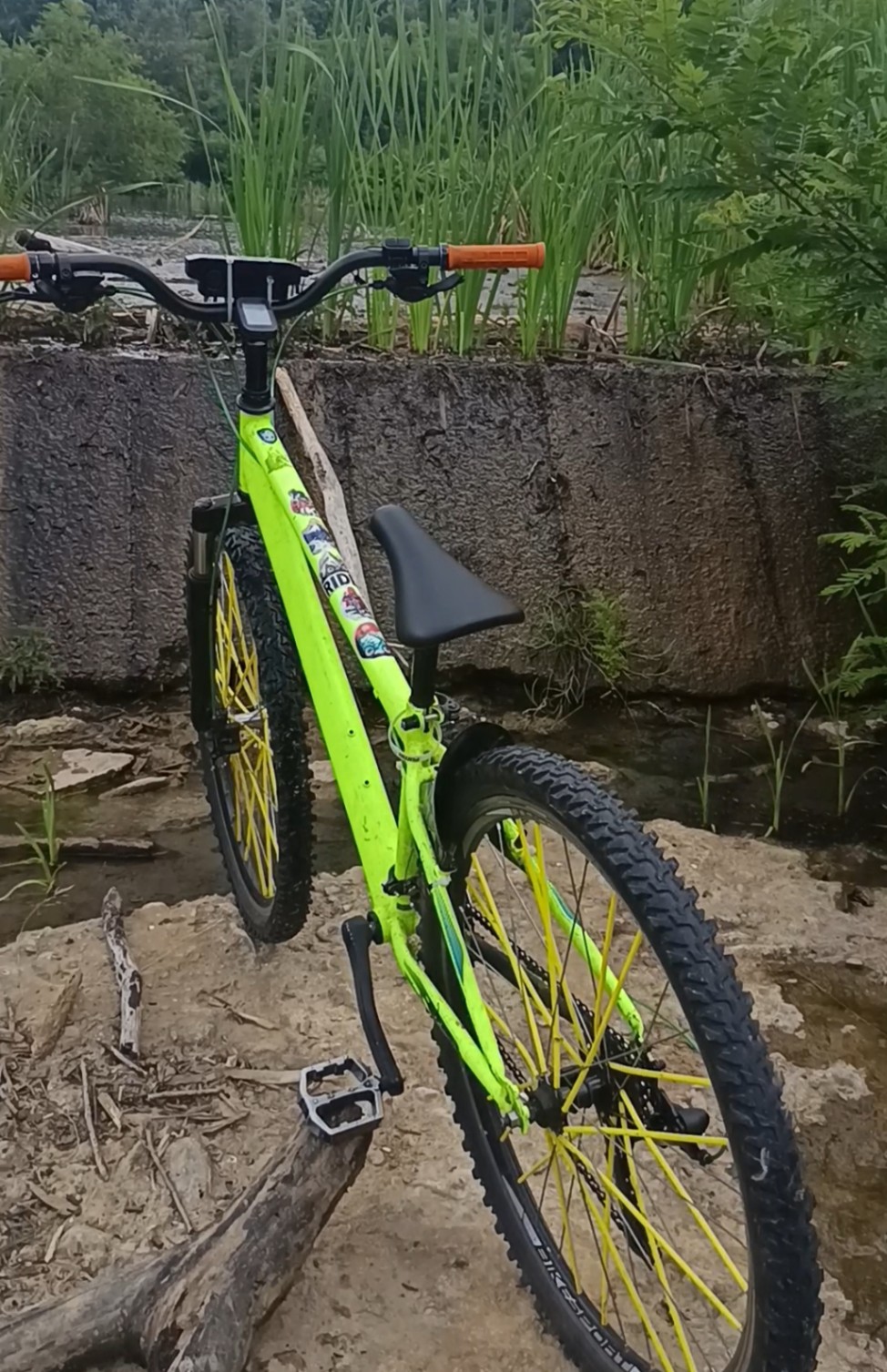 Bike view 4