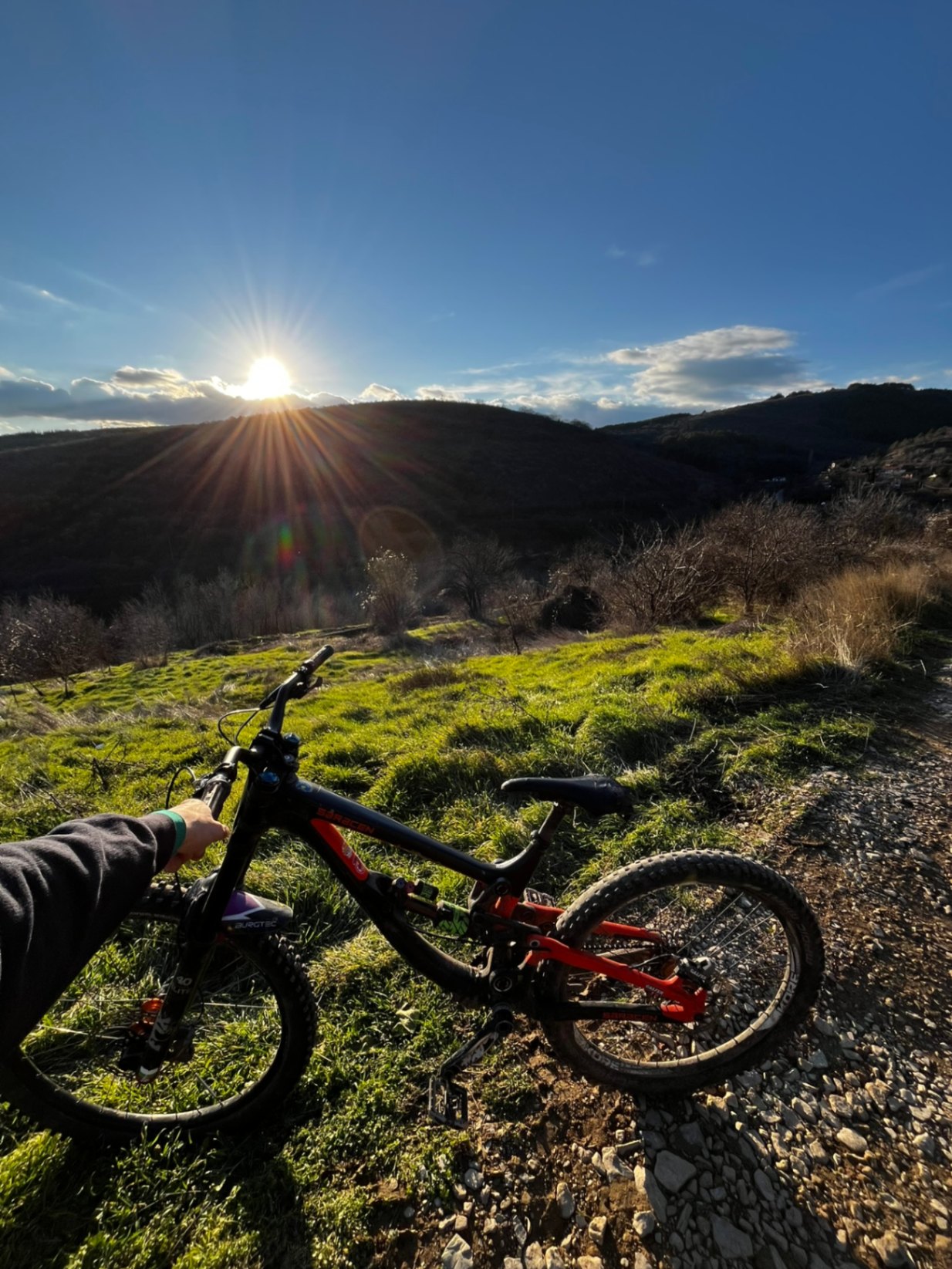 Saracen Myst X view 8