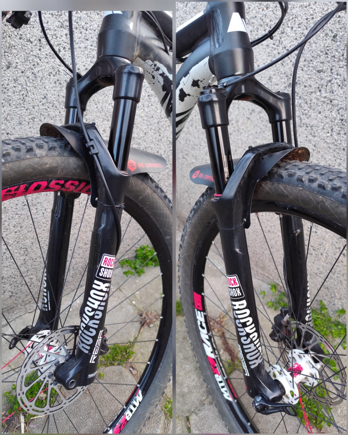 Bike view 12