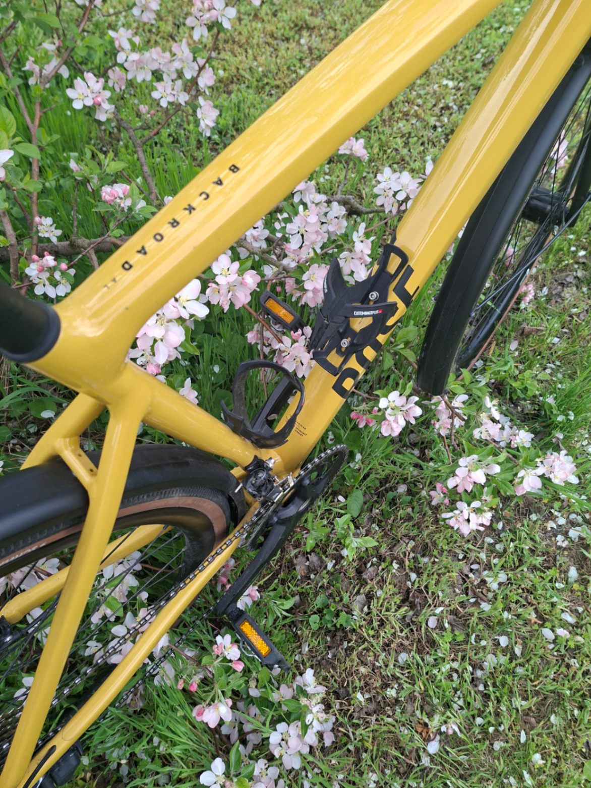 Bike view 7