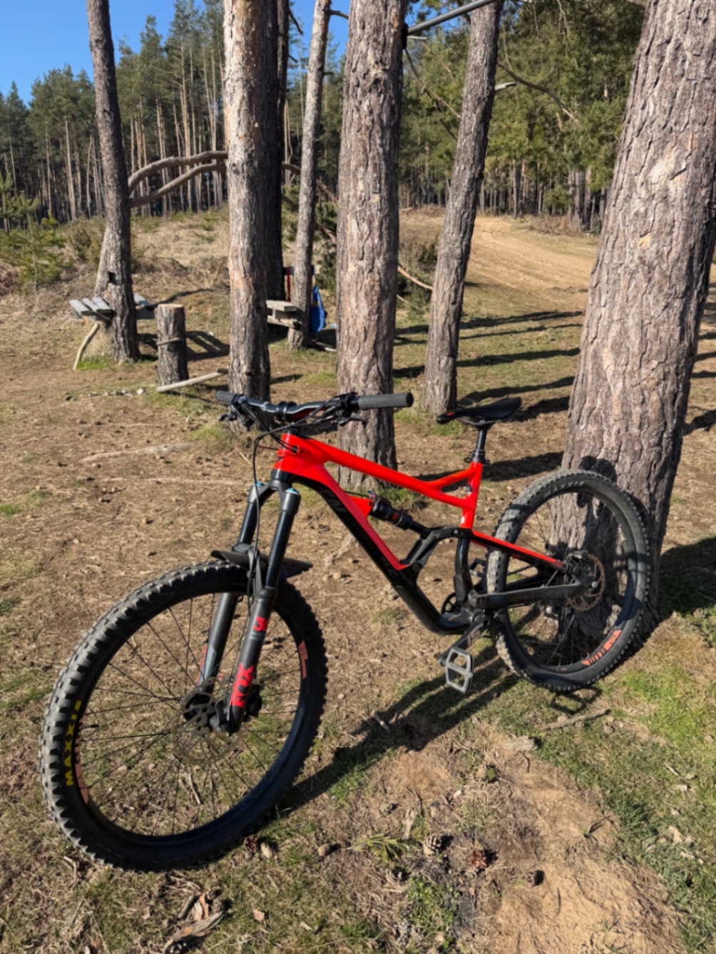 Bike view 6