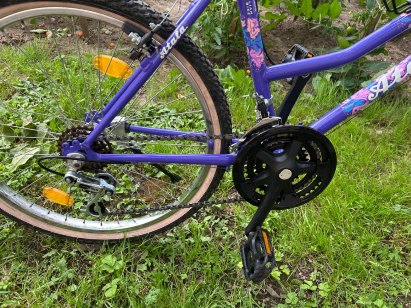 Bike view 4