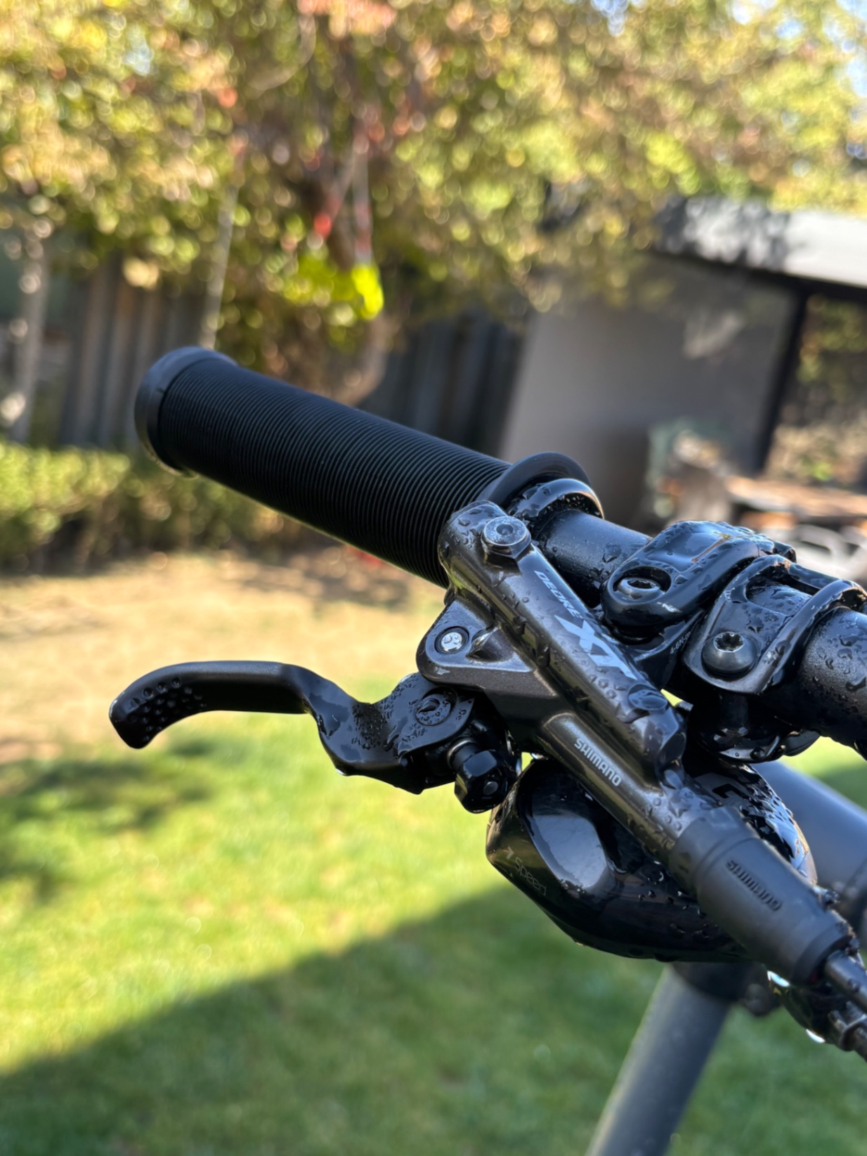 Bike view 5