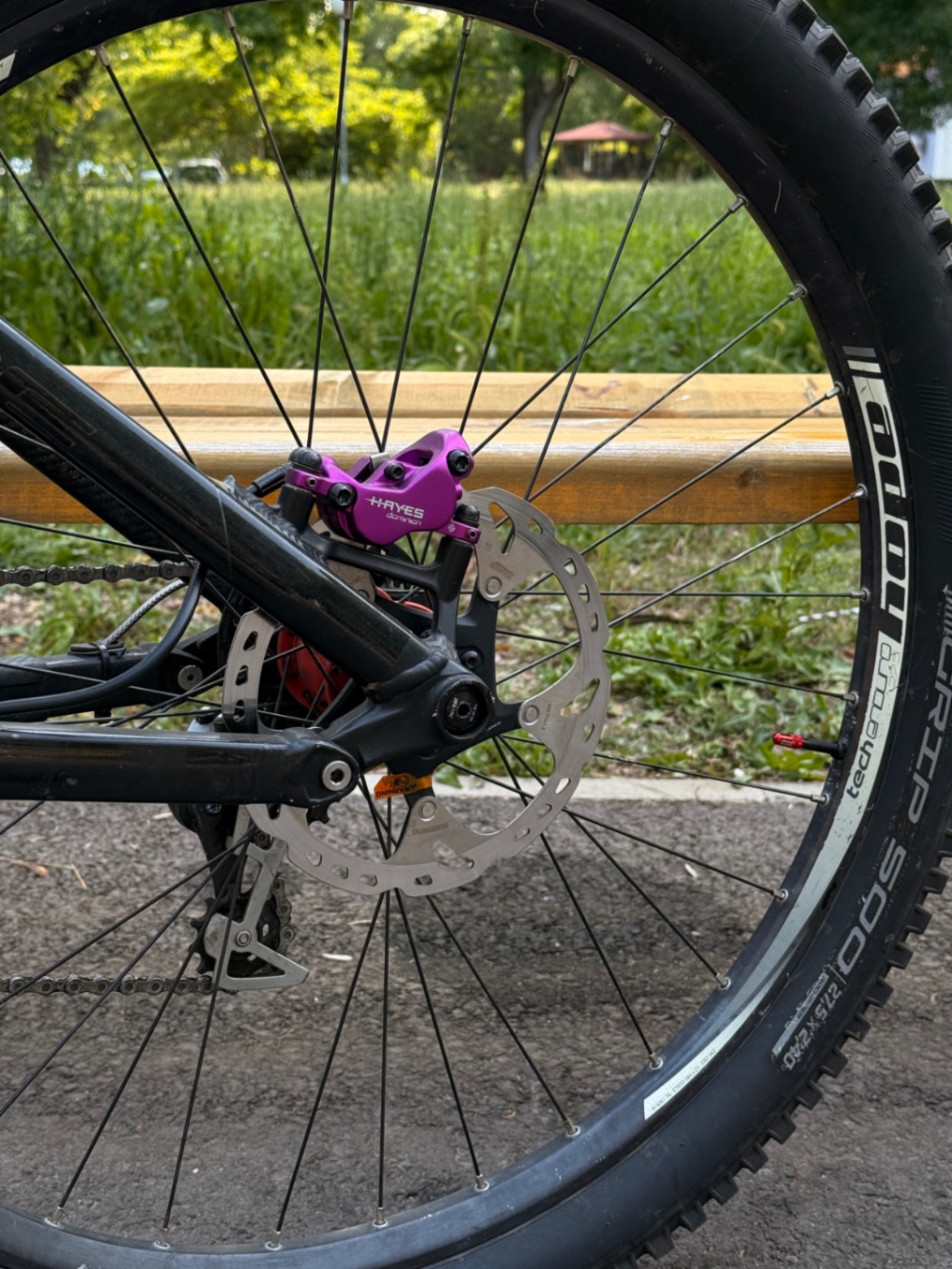 Bike view 11