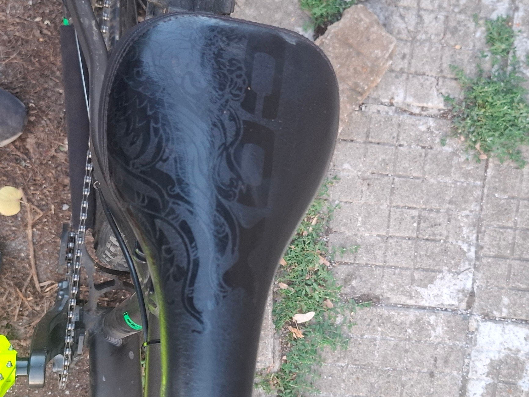 Bike view 9