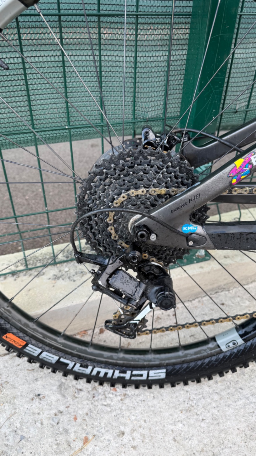 Bike view 7