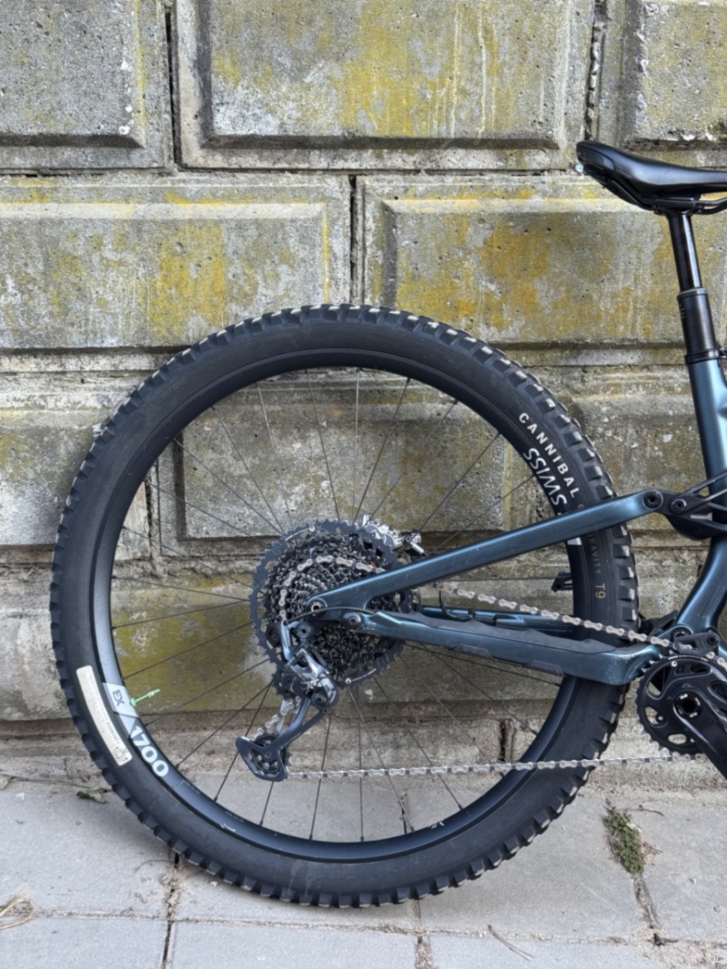Bike view 11