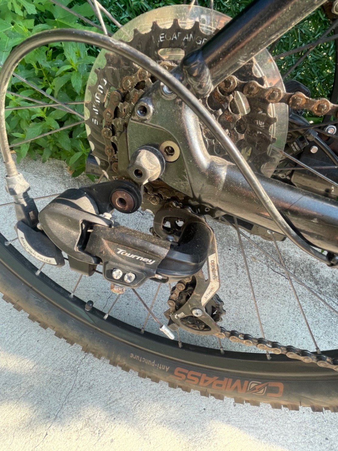 Bike view 7