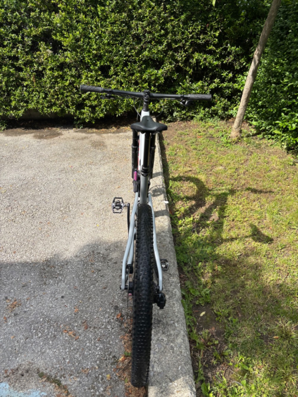 Bike view 6