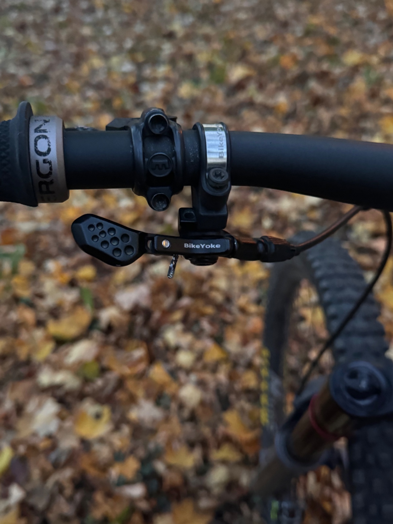 Bike view 8