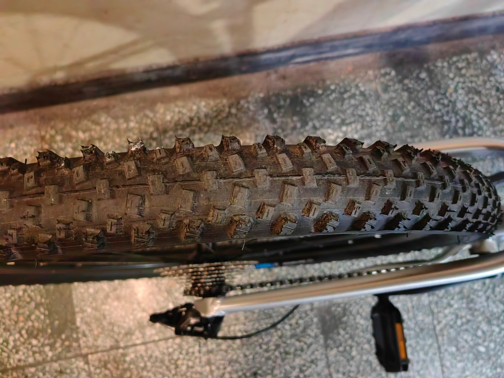 Bike view 6