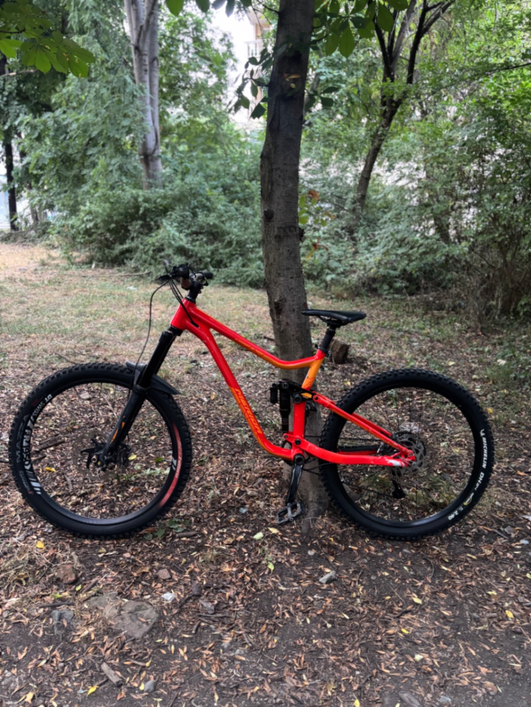 Giant Reign SX