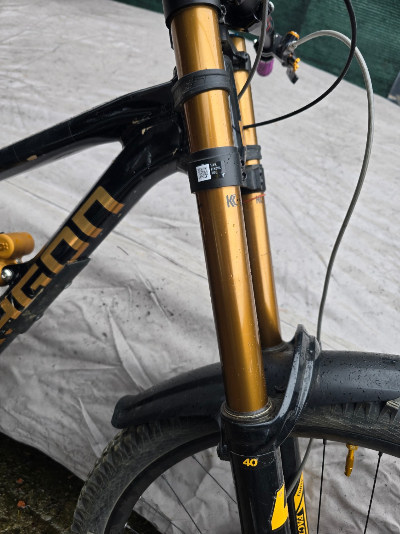 Bike view 8