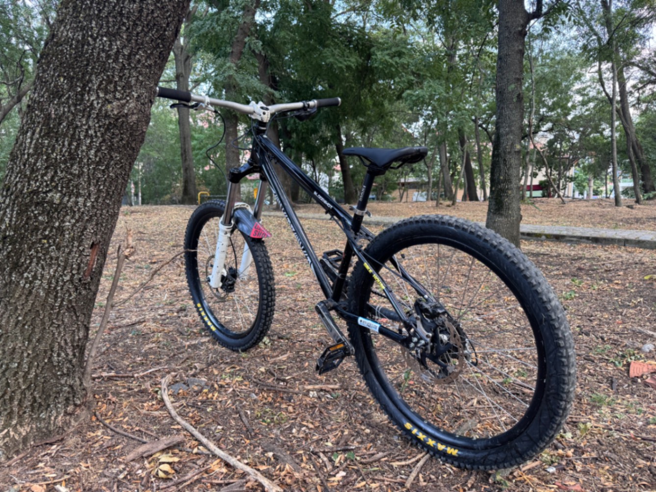 Bike view 5
