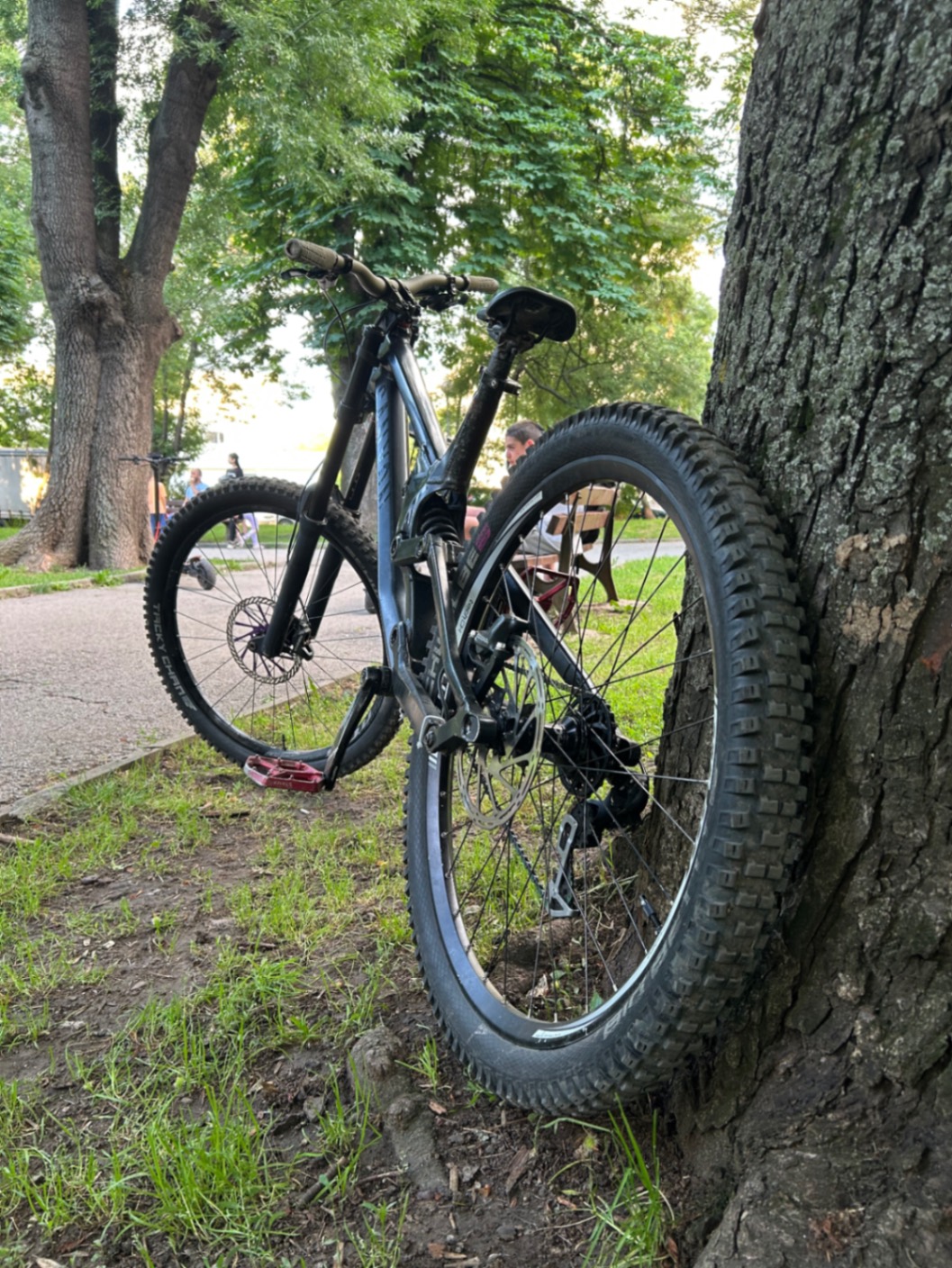 Bike view 7