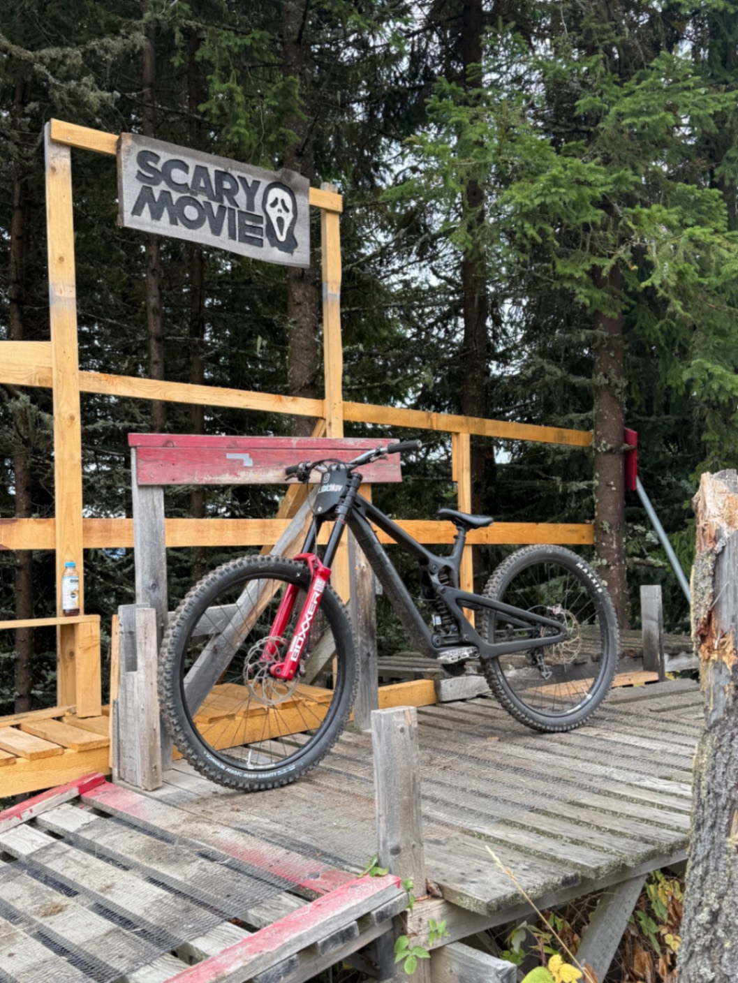 Bike view 7