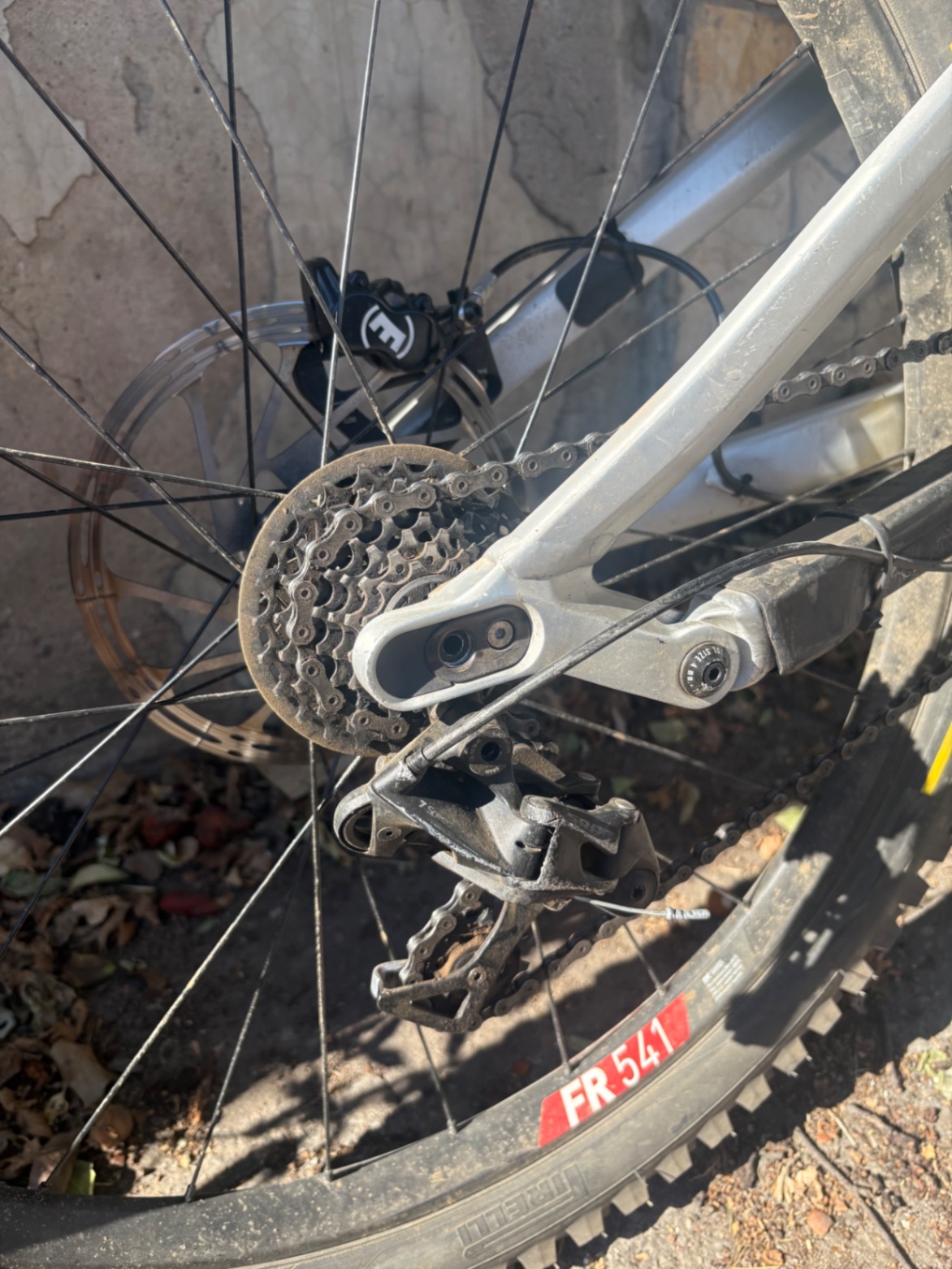 Bike view 6