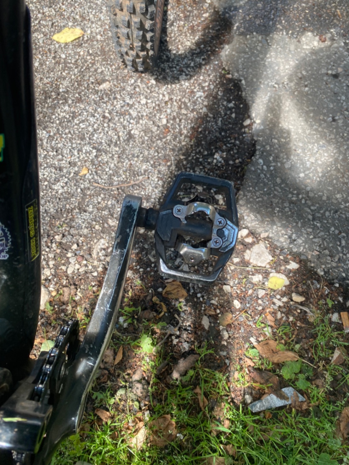 Bike view 6