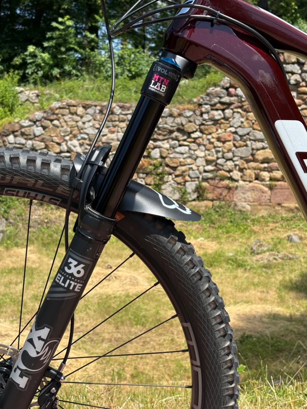 Bike view 11