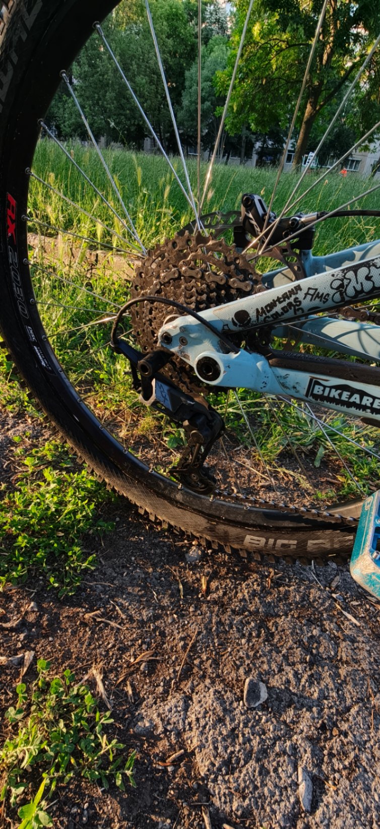 Bike view 8