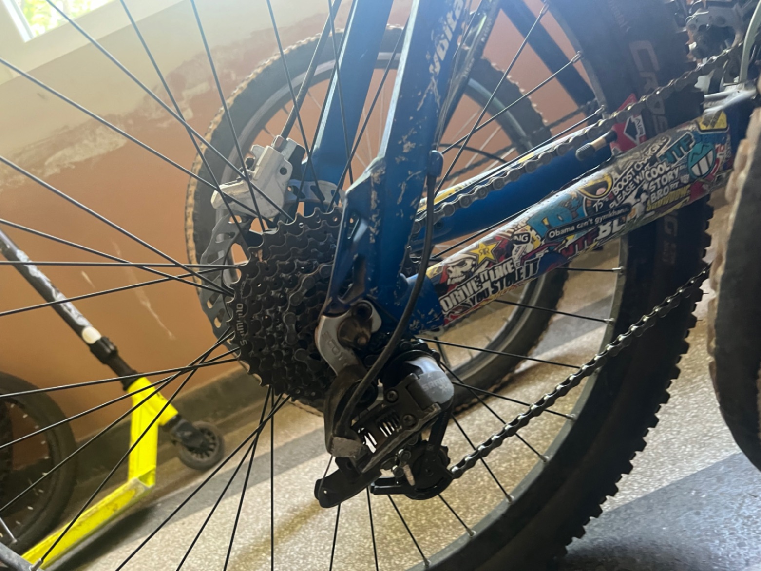 Bike view 7