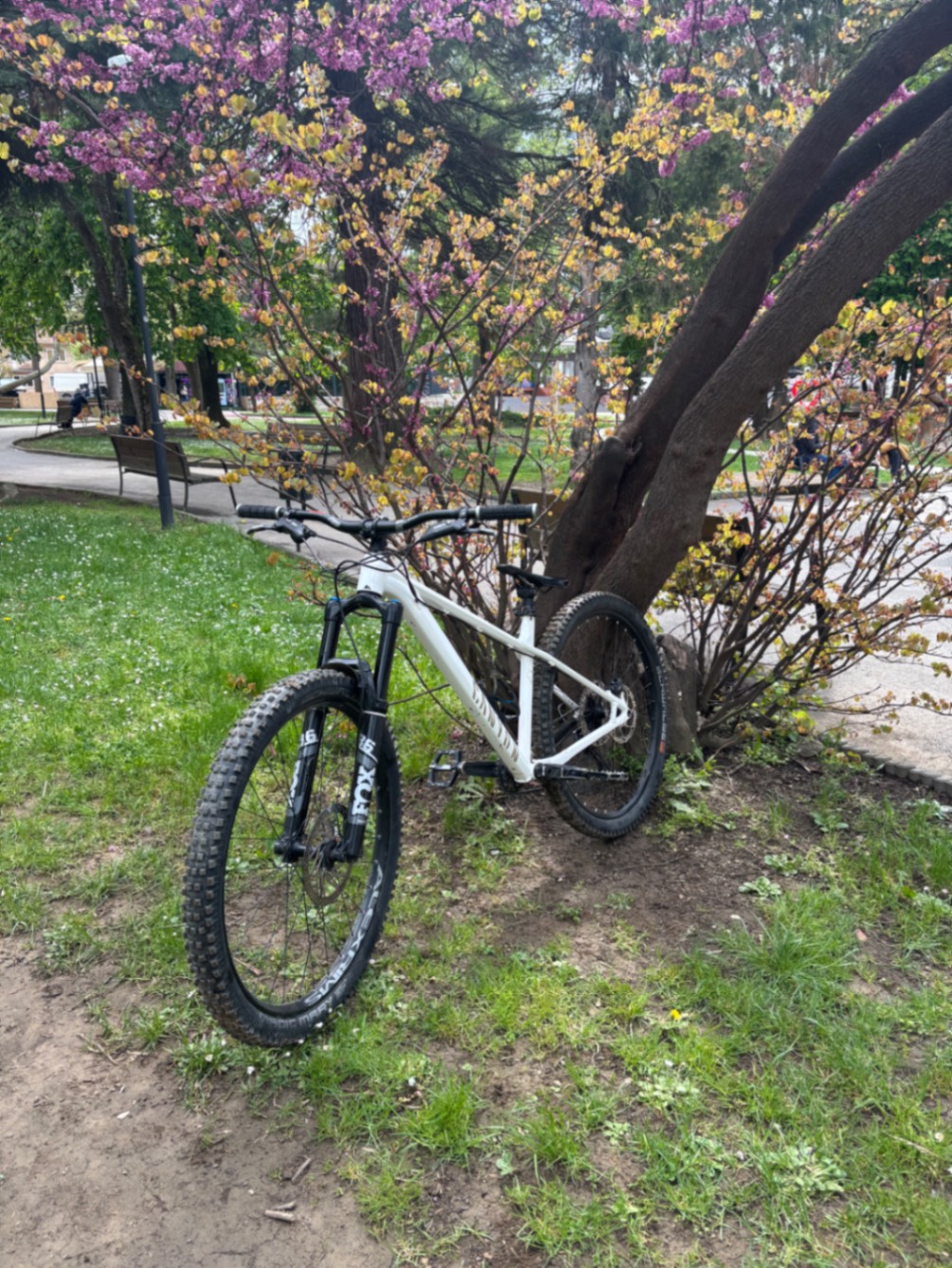 Bike view 4