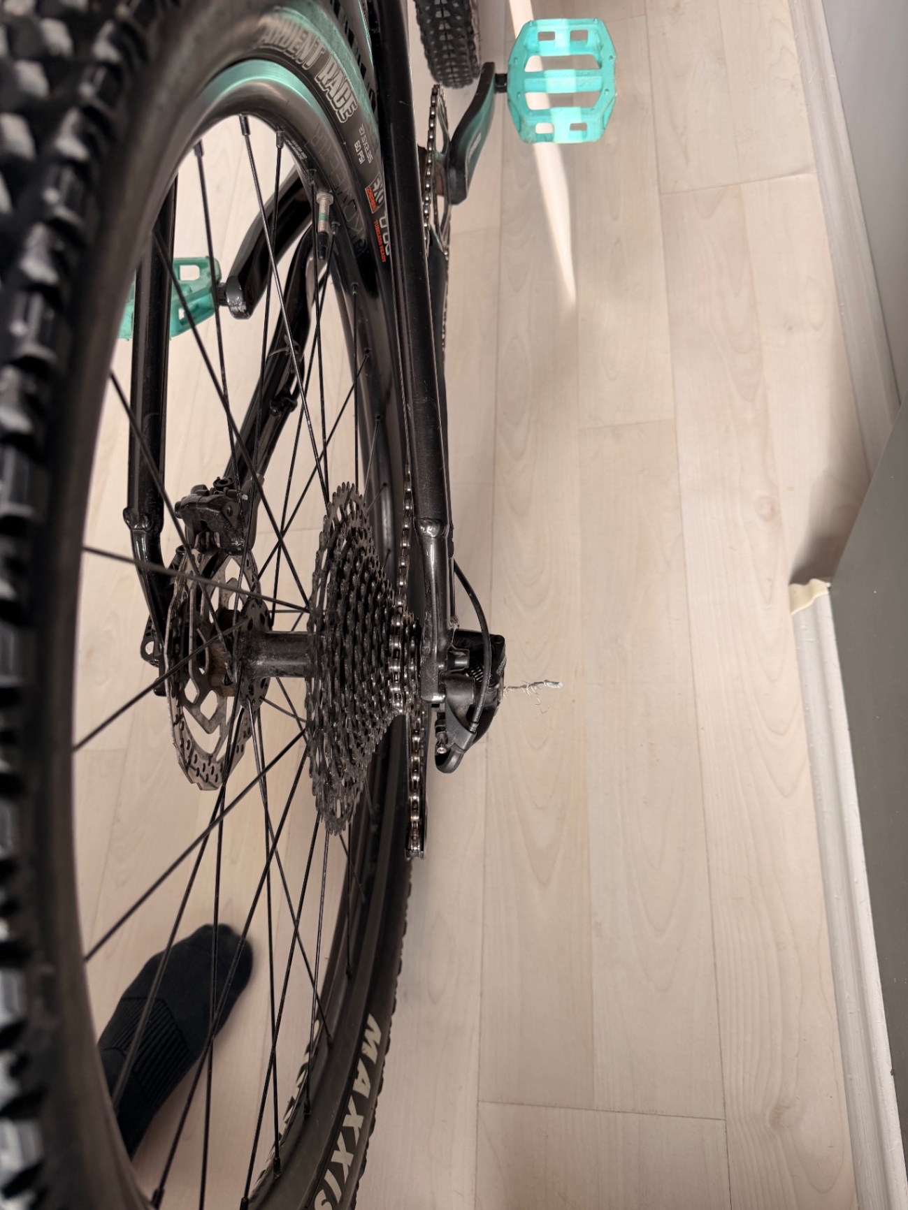Bike view 2