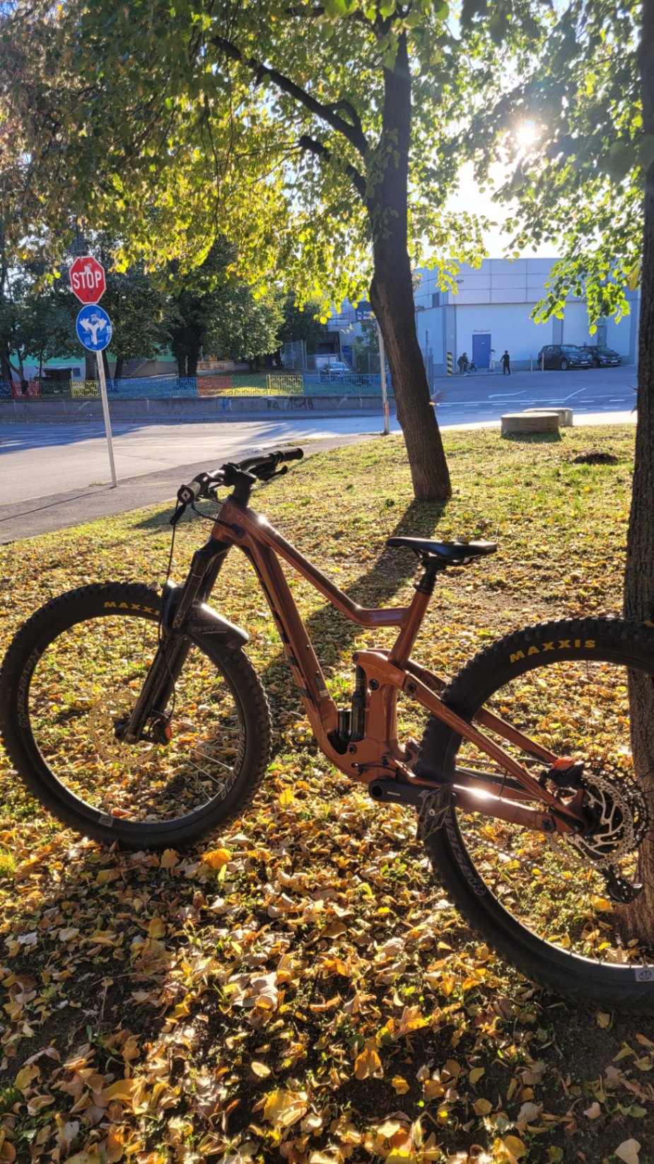 Bike view 3