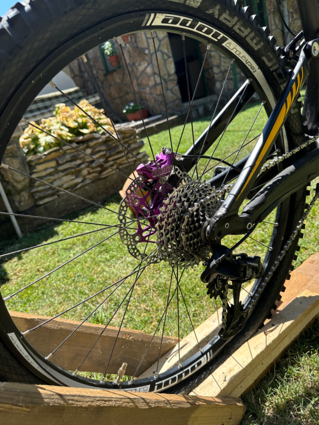 Bike view 9
