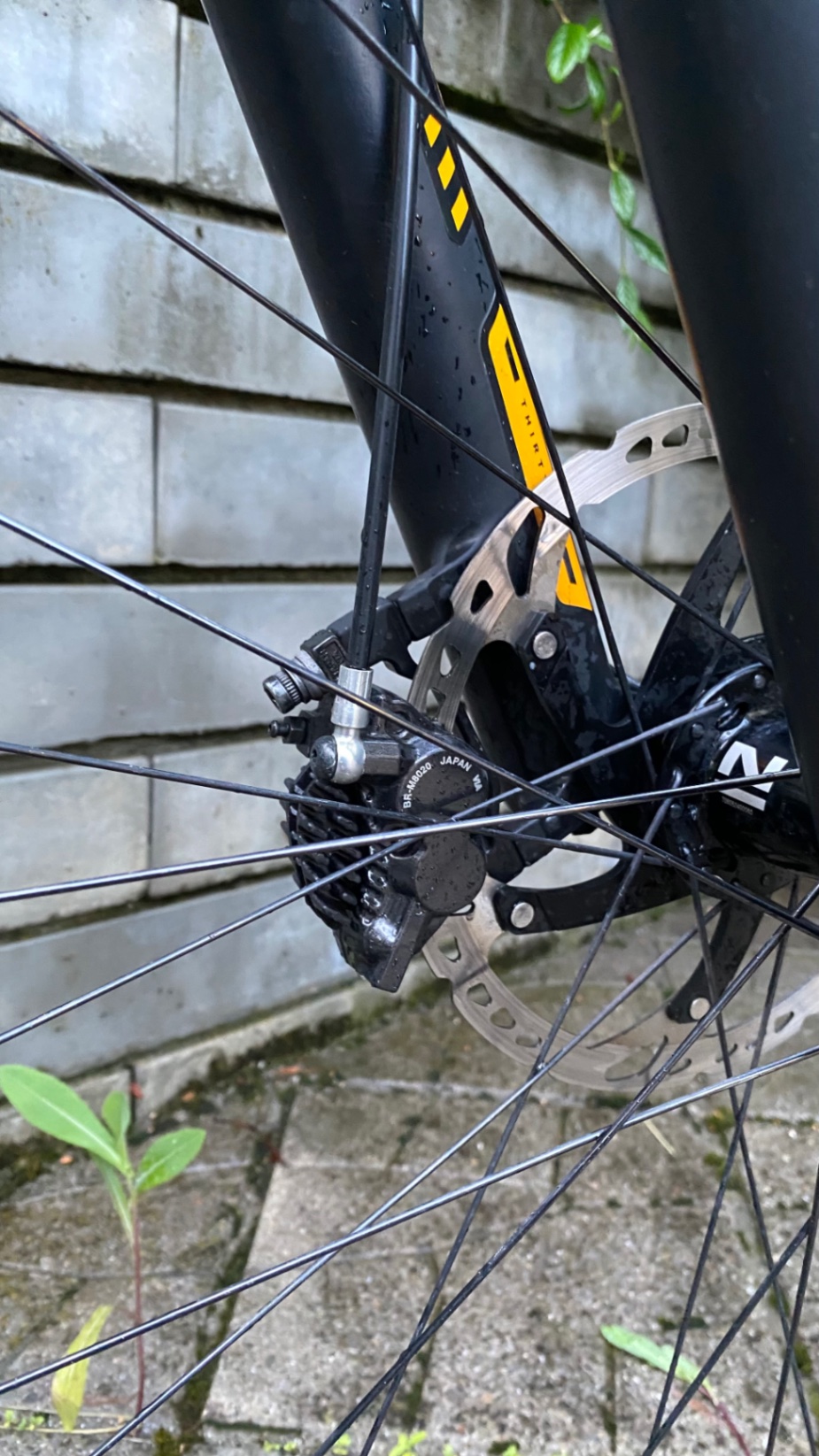 Bike view 8