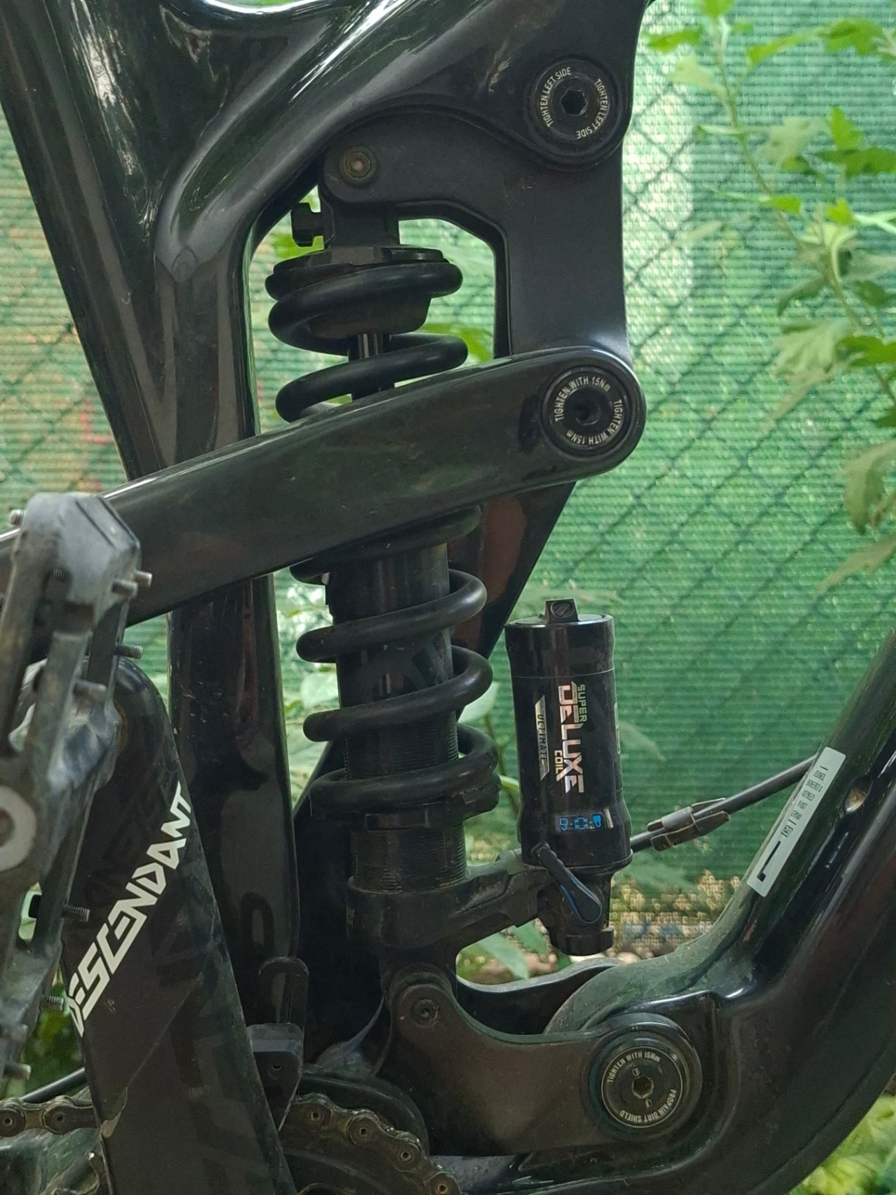 Bike view 8