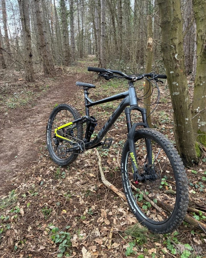 Bike view 2