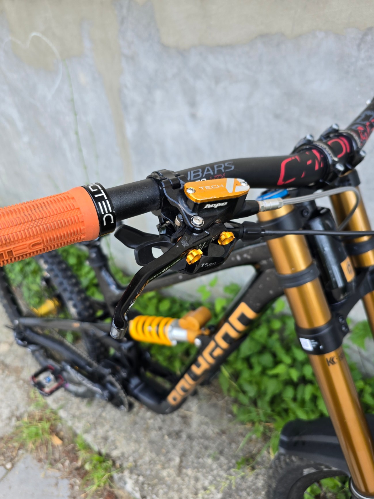 Bike view 10