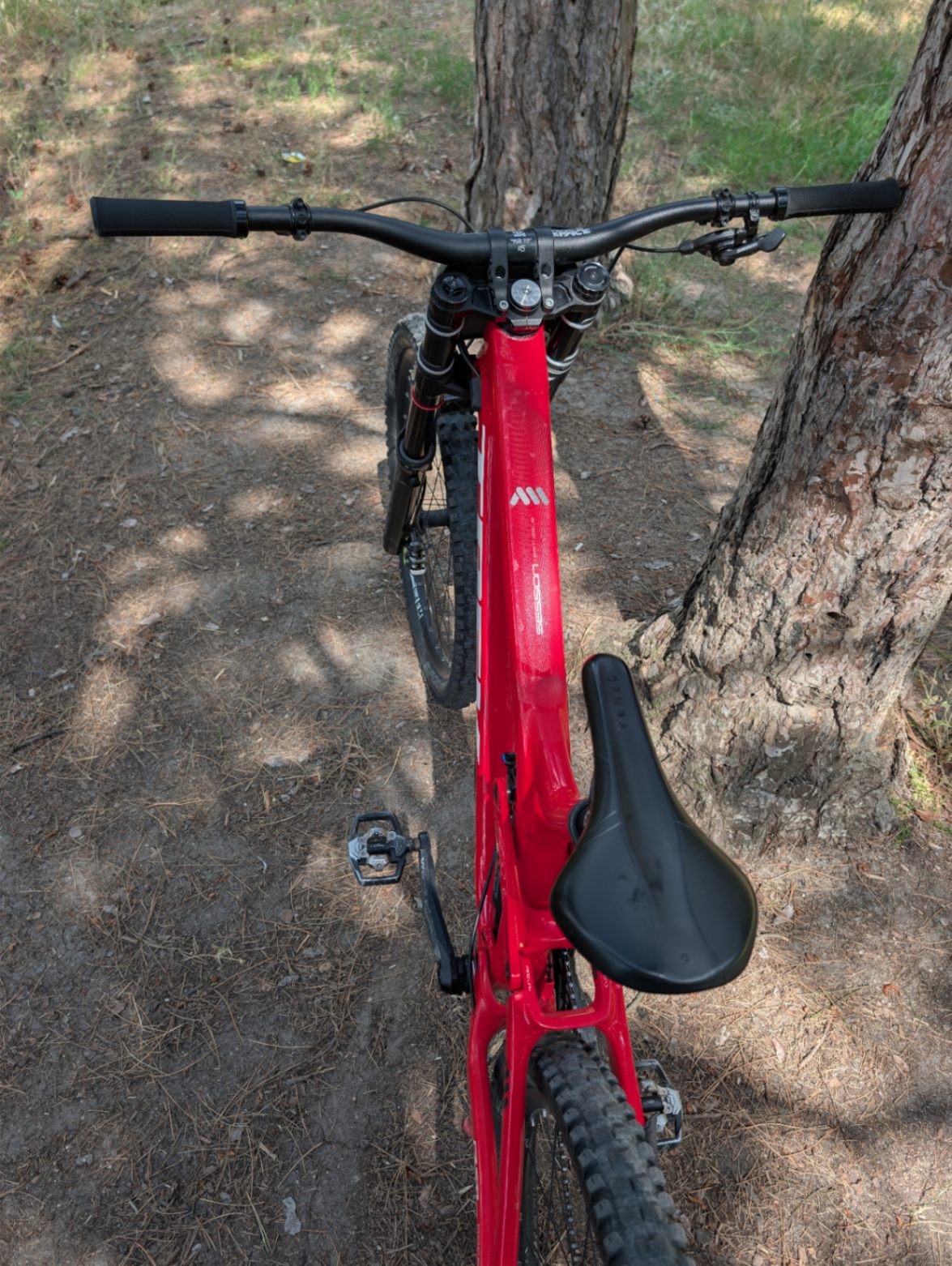 Trek Session 9.9 view 5