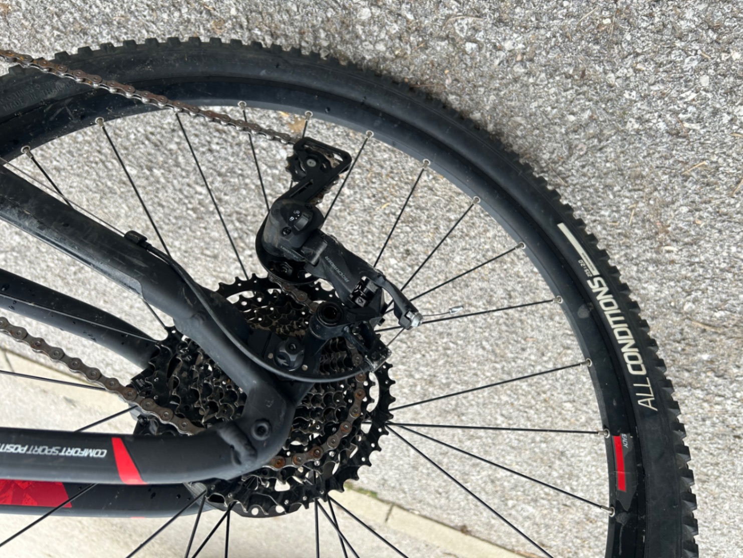 Bike view 8