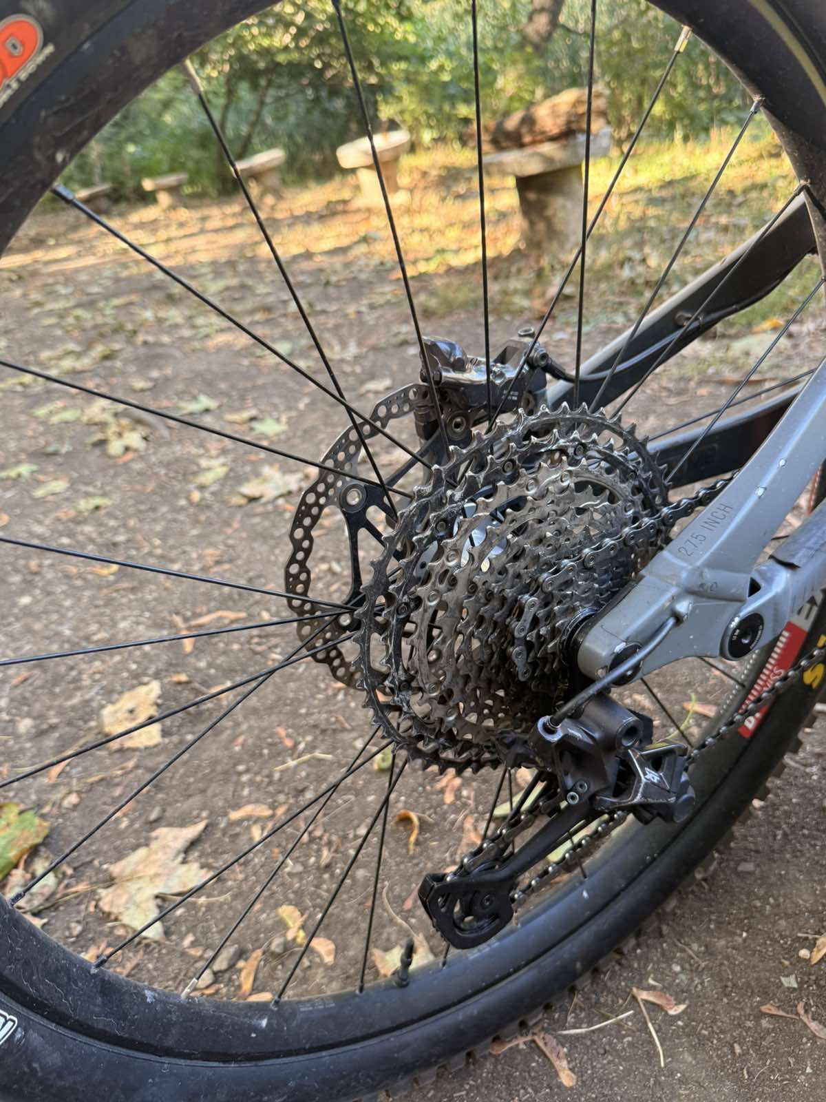 Bike view 6