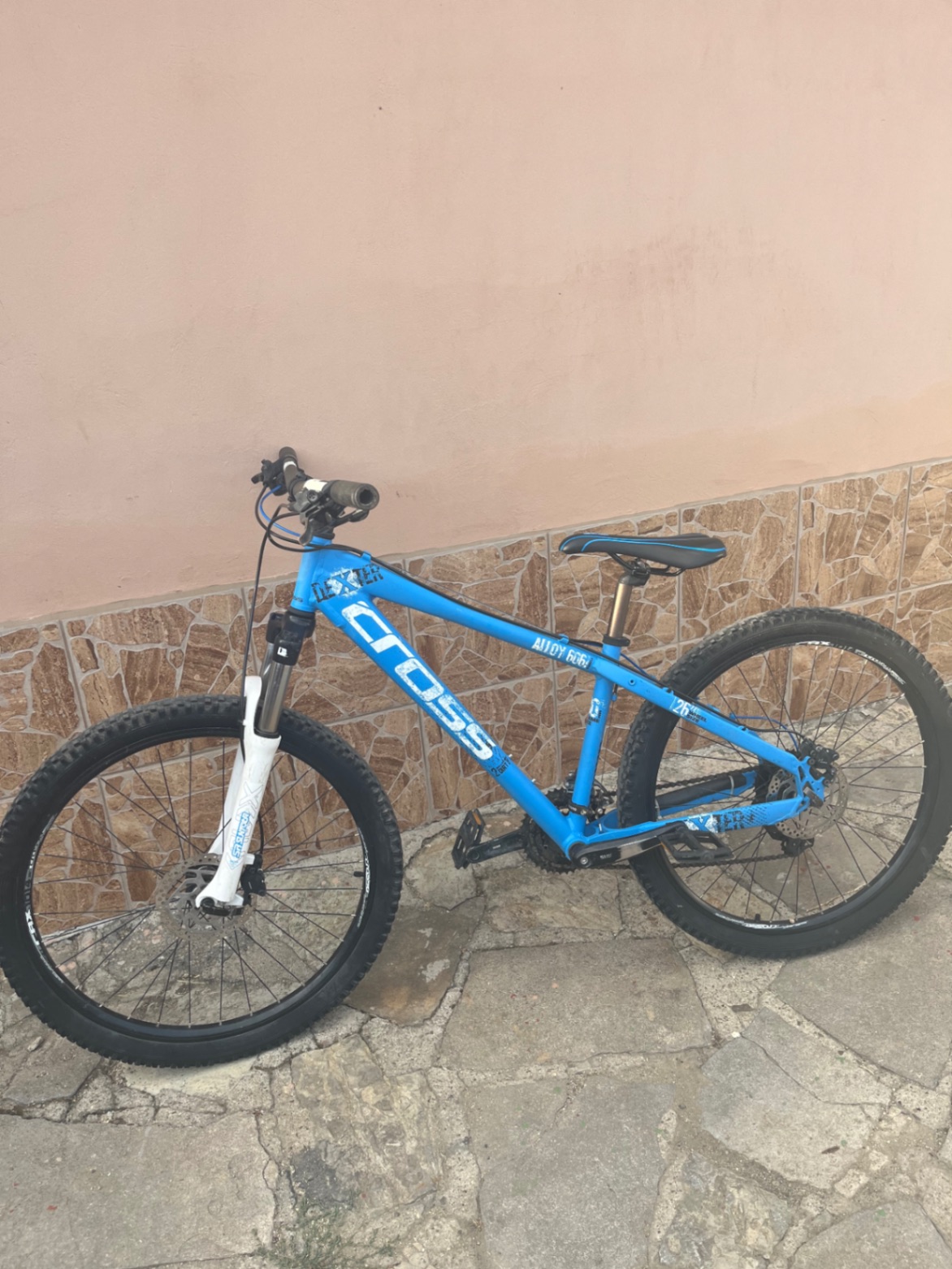 Bike view 7