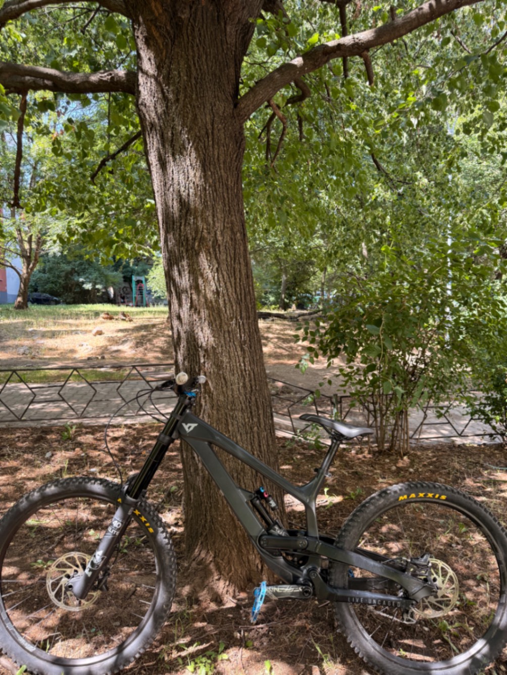 Bike view 2