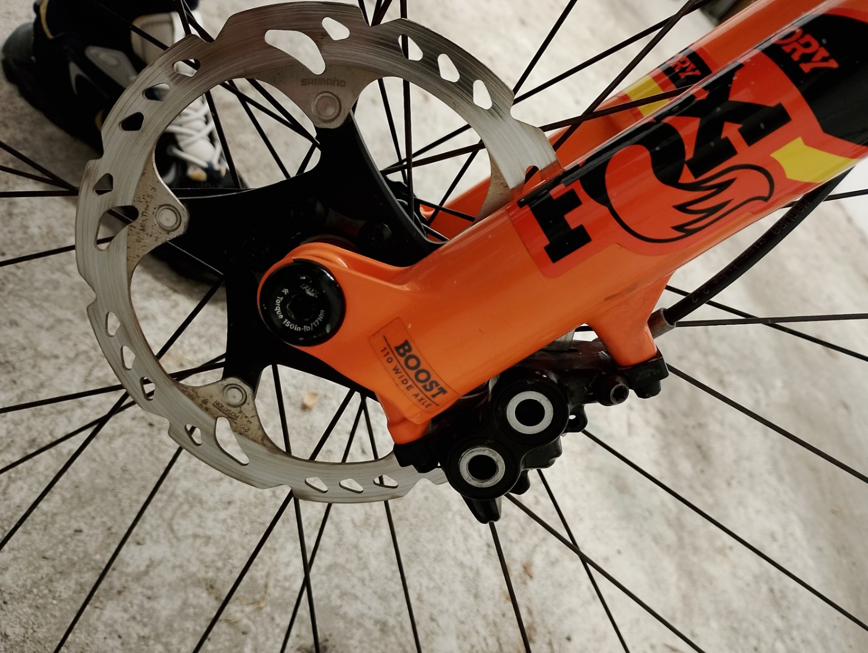 Bike view 12