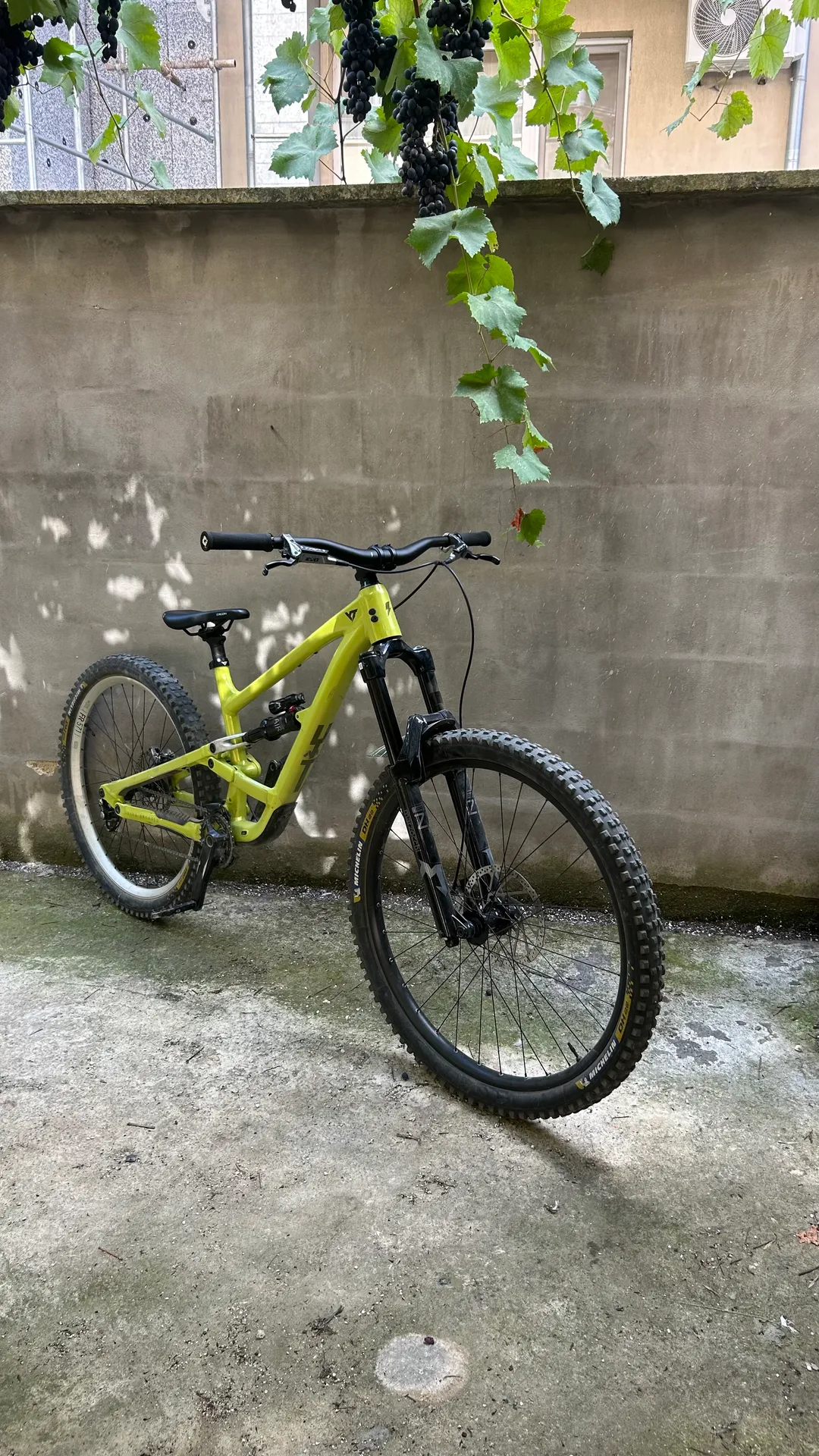 YT Industries Capra AL Base view 4