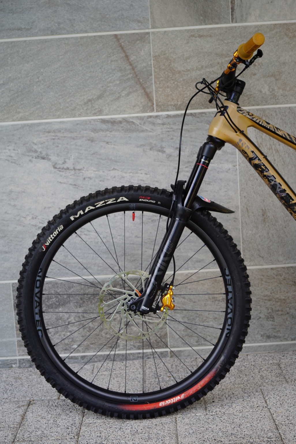 Bike view 11